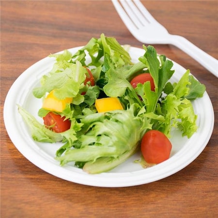 Dart Container Dart Container 6PWCR 6 in. White Plate Foam Unlaminated Plastic Dinnerware - Case of 1000 6PWCR